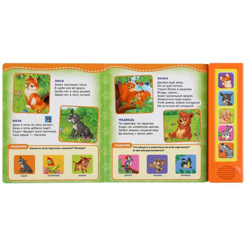 Musical Book Whose Houses? Whose Kids?