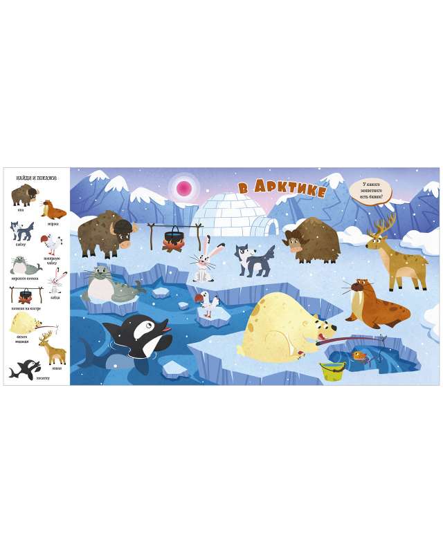 Find and Show, Baby. Animals