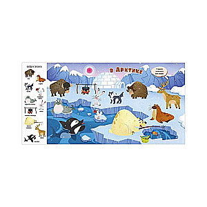 Find and Show, Baby. Animals