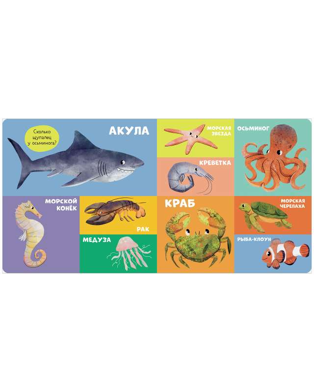 Board Books. 100 Animals