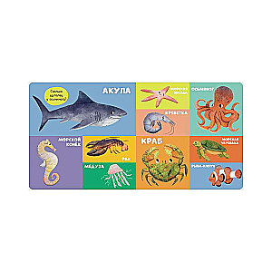 Board Books. 100 Animals