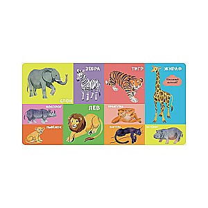 Board Books. 100 Animals