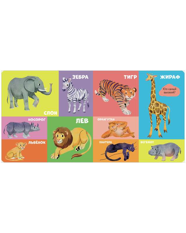 Board Books. 100 Animals