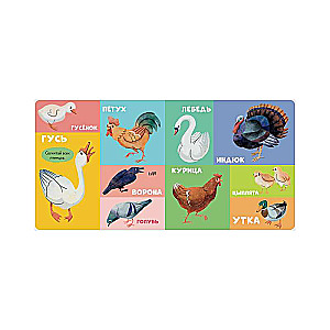 Board Books. 100 Animals