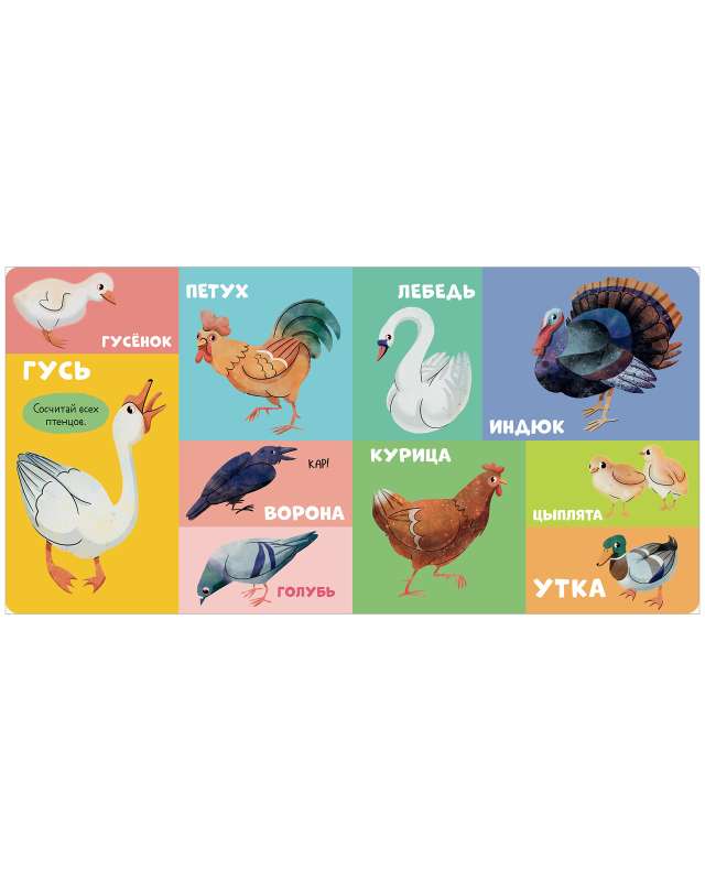 Board Books. 100 Animals