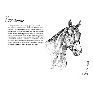 Sketching. Express Course + Sketchbook