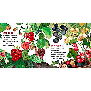 Berries