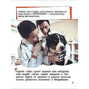 Pets