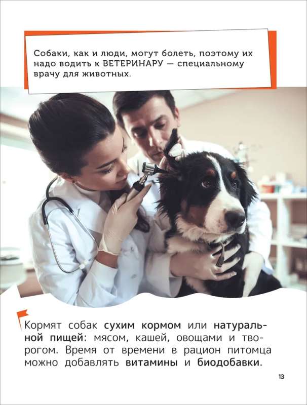 Pets