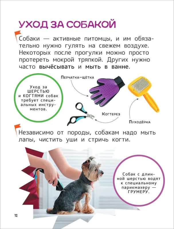 Pets