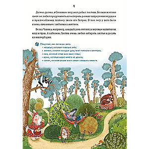 Mathematical Tales. The Clever Fox in the Magic Forest: Logic Puzzles for Little Ones