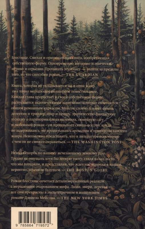 Northern Forest