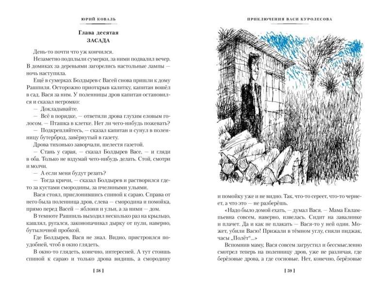 The Adventures of Vasya Kurolessov. The Underdog