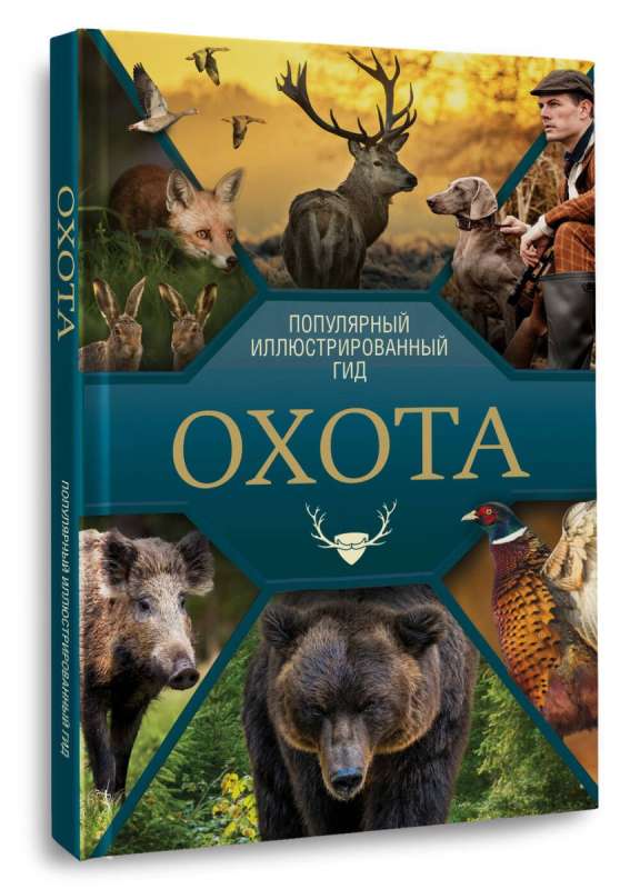 Hunting. A Popular Illustrated Guide