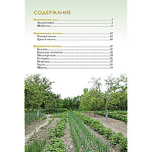 Onion, garlic, greens. Planting. Care. Protection. Harvesting. Storage