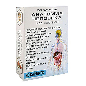 Anatomia człowieka. 80 karteczek. Wszystkie systemy