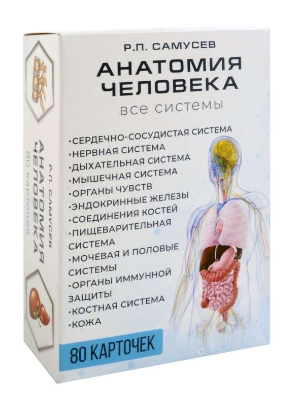 Anatomia człowieka. 80 karteczek. Wszystkie systemy