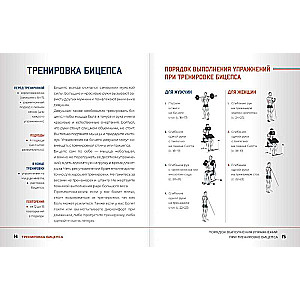 Anatomy of Strength Exercises with Augmented Reality