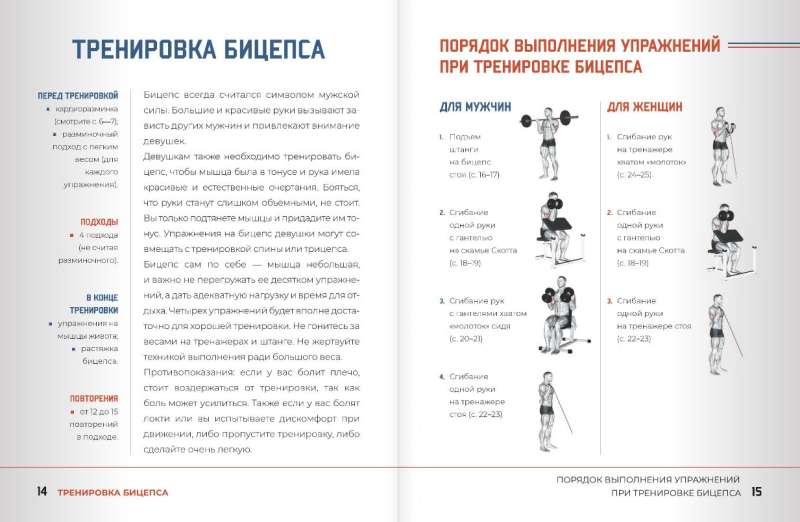 Anatomy of Strength Exercises with Augmented Reality