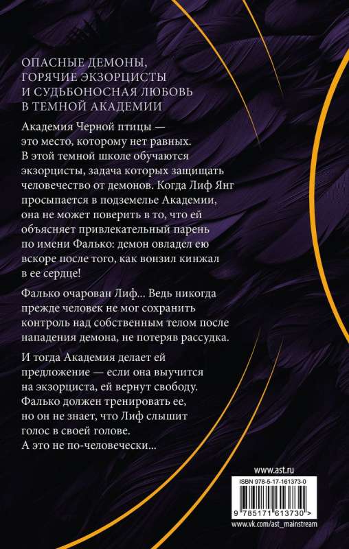 Black Bird Academy. Destroy the Darkness