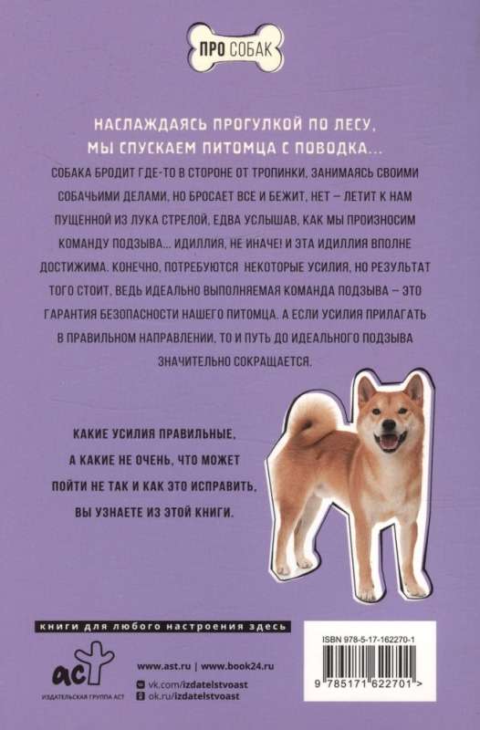 Come to me! How to Teach a Dog to Instantly Return on Command