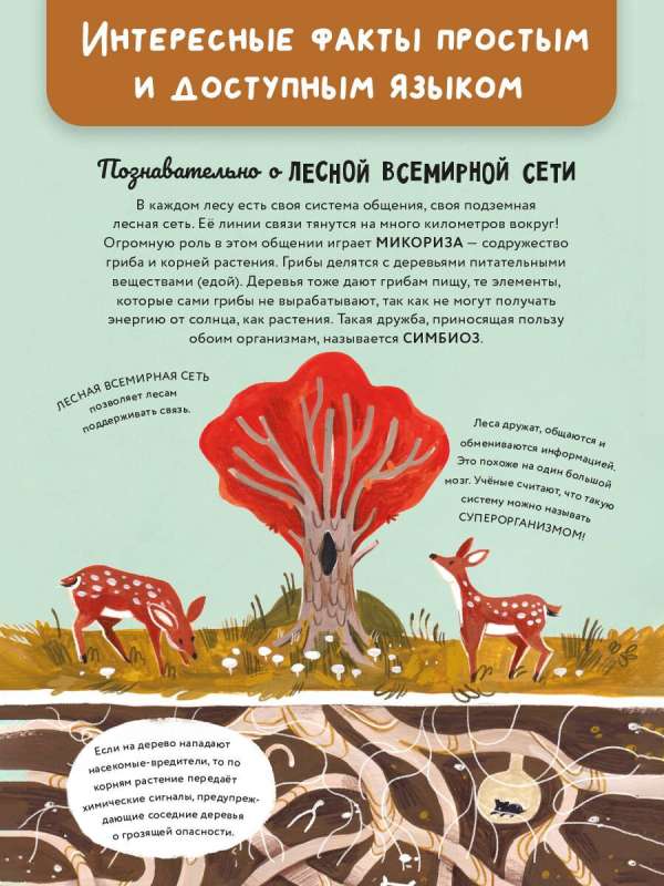 Wonders of Nature. Five-Minute Stories for Children