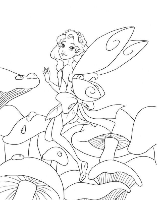 Fairy Princesses. Big Coloring Book