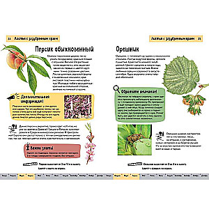 Plants. A Brief Illustrated Guide