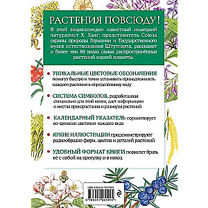 Plants. A Brief Illustrated Guide