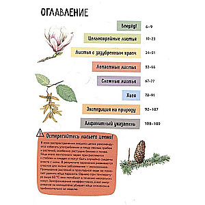 Plants. A Brief Illustrated Guide