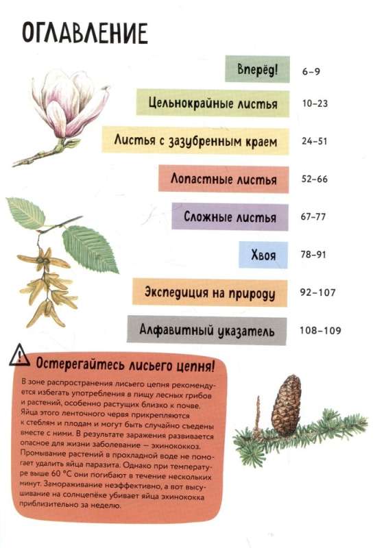 Plants. A Brief Illustrated Guide