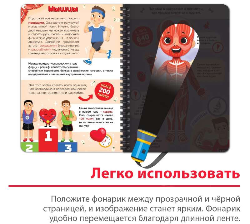 Smart Book with Flashlight My Body. Shine and Explore