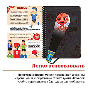 Smart Book with Flashlight My Body. Shine and Explore