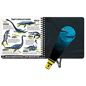 The Secret Book with the Magic Flashlight Dinoland