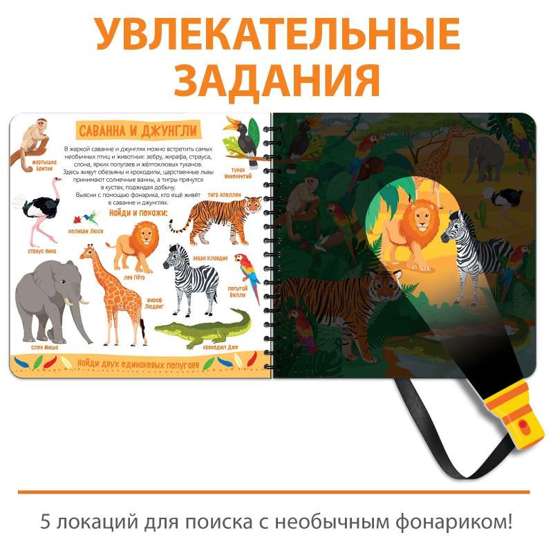 The Secret Book with a Magic Lantern ZooLand