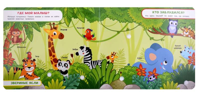 ZOO