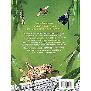 Incredible Insects