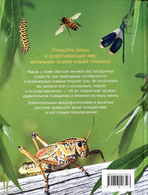 Incredible Insects