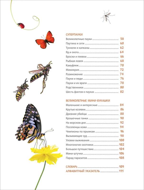 Incredible Insects