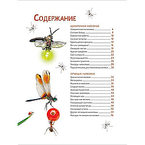 Incredible Insects