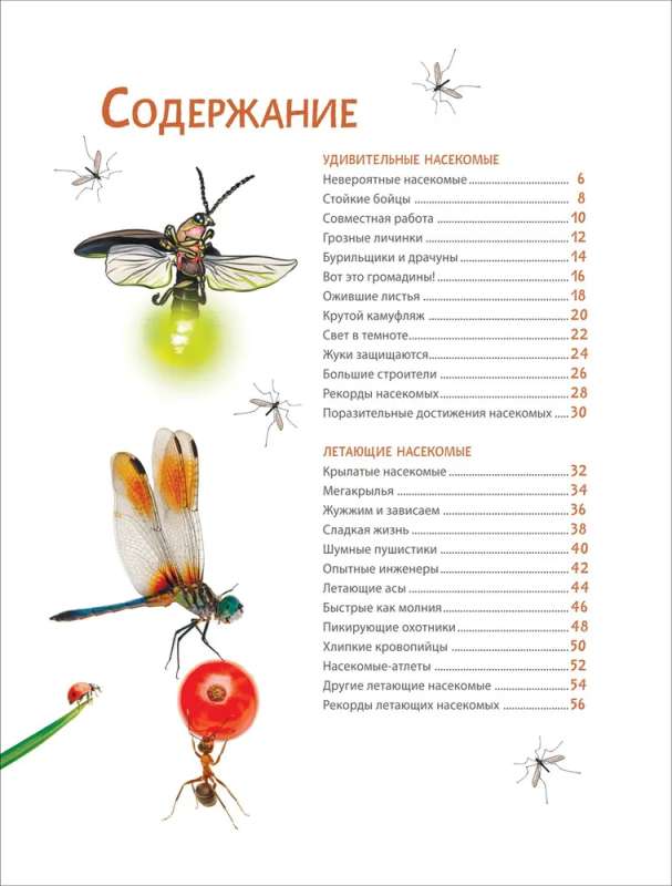 Incredible Insects