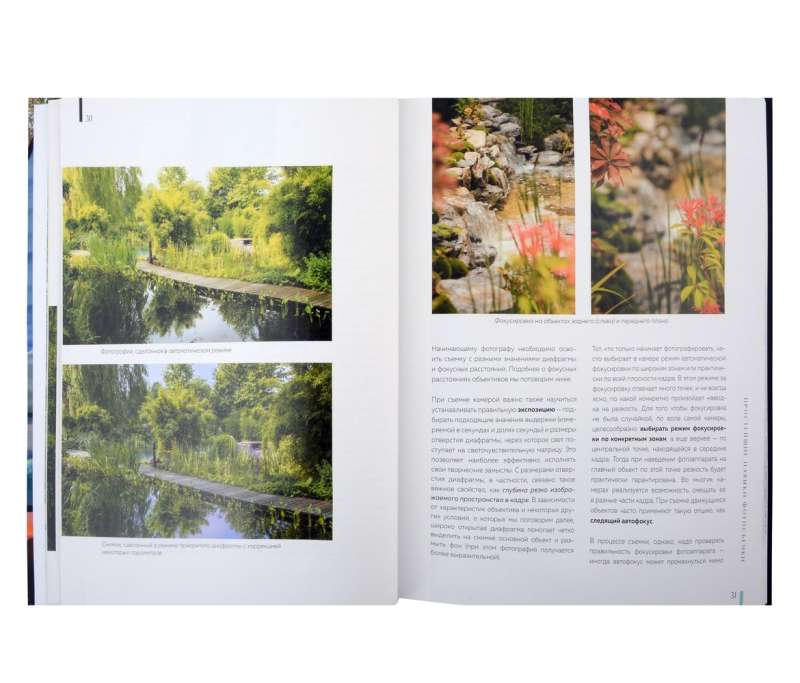 Fotografia. Przewodnik po fotografowaniu natury
