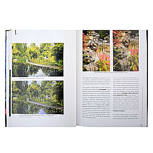 Fotografia. Przewodnik po fotografowaniu natury