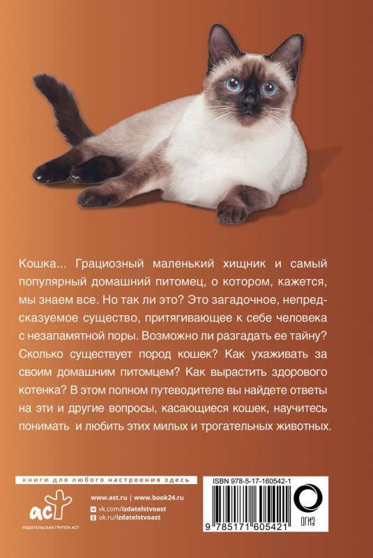 Cats