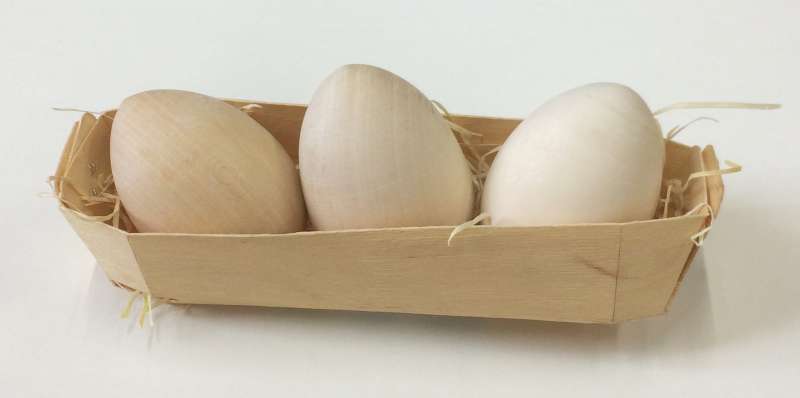 Eggs for Painting. 3 pcs.