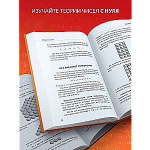 Mathematics with Boris Trushin. Number Theory: from zero to Euler's theorem