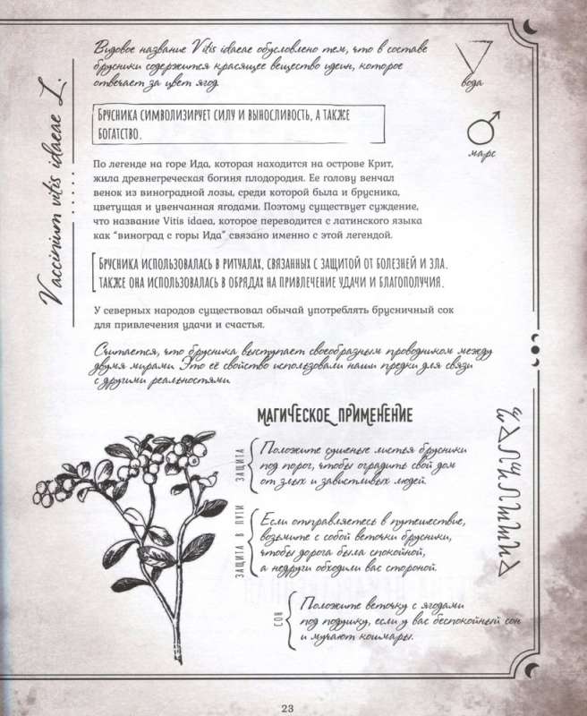 Secrets and Magic of Plants. A Guide to the World of Herbs and Trees