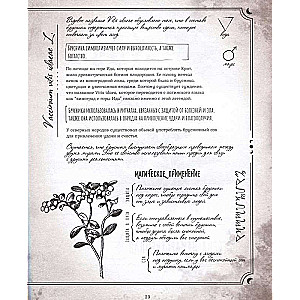 Secrets and Magic of Plants. A Guide to the World of Herbs and Trees