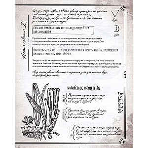 Secrets and Magic of Plants. A Guide to the World of Herbs and Trees