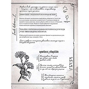 Secrets and Magic of Plants. A Guide to the World of Herbs and Trees
